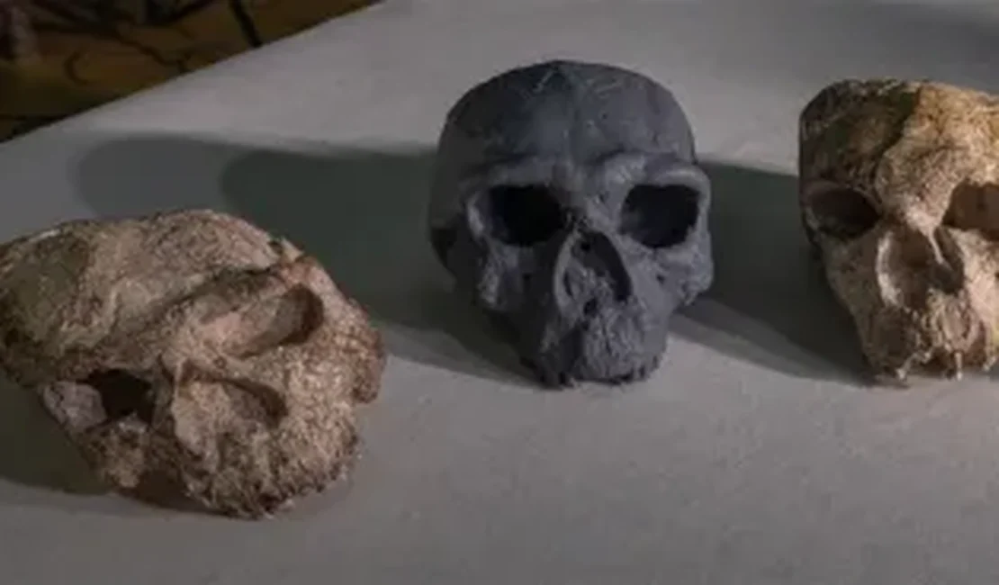 Crânio de 1 milhão de anos desafia crenças sobre evolução humana