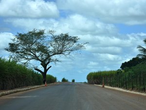 Programa Alagoas de Ponta a Ponta segue em Junqueiro com pavimentação asfáltica