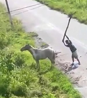 [Vídeo] Jovem flagrado agredindo cavalo a pauladas se apresenta à polícia