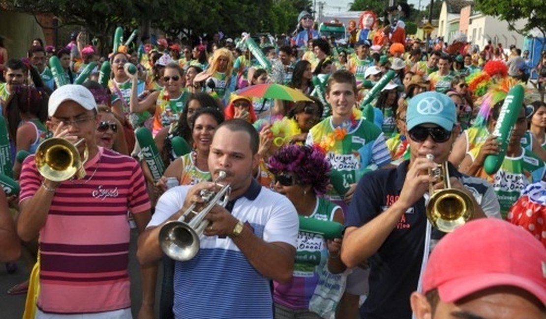 Folia de Rua 2016 vai ter desfile de bloco da Imprensa