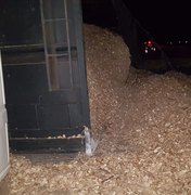 Carreta com carga de biomassa tomba na BR-101 e motorista sai ileso