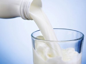 CPLA realiza mais uma reunião para evitar cortes no Programa do Leite