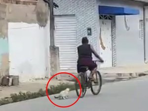 Gato preso em uma corda é visto sendo arrastado por mulher em bicicleta, no Pilar