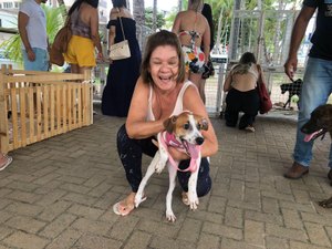 Ponta Verde vai receber Feira de Adoção de pets neste domingo (15)
