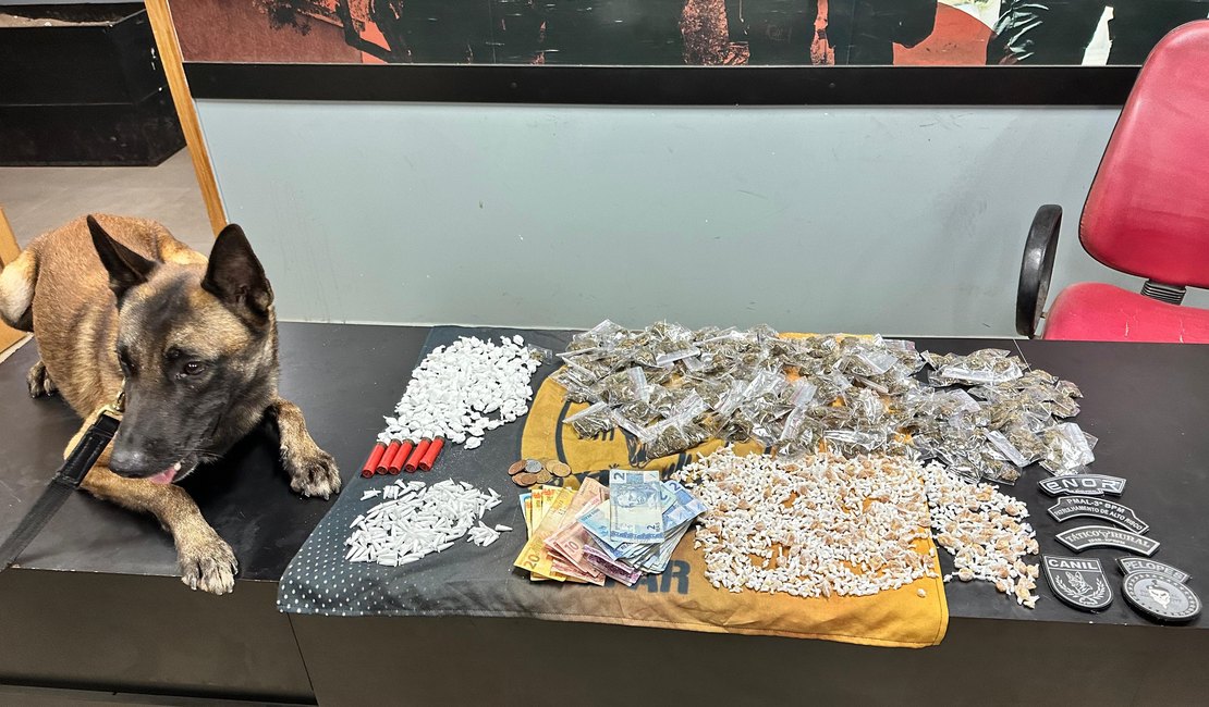 Polícia apreende cerca de 2 mil pedras de crack em Palmeira dos Índios