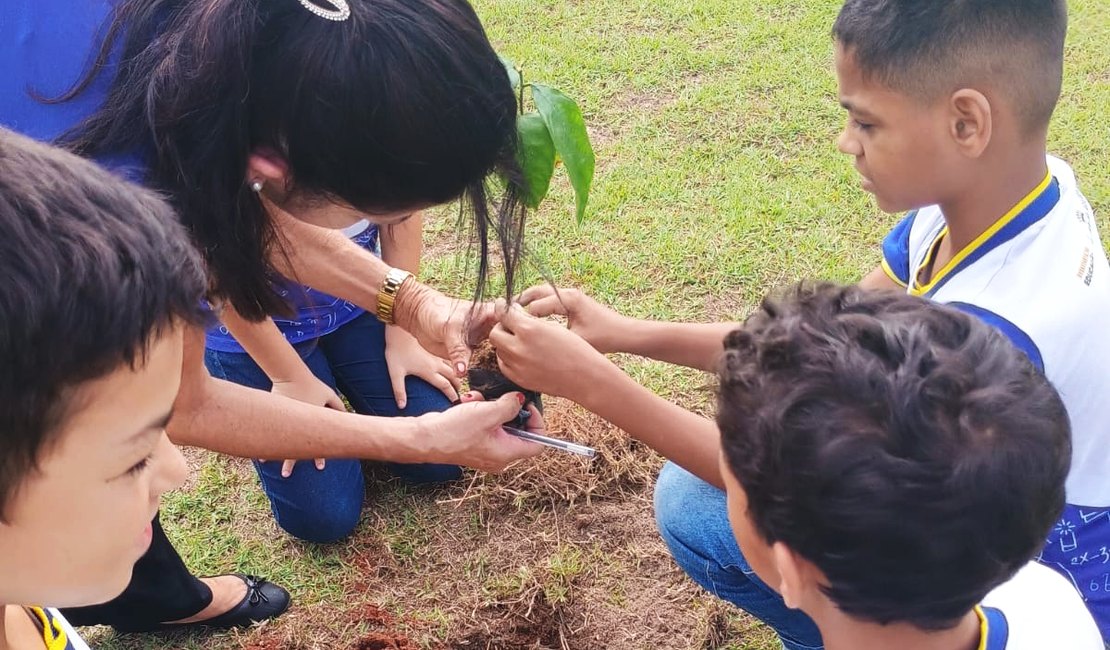 Prefeitura incentiva práticas sustentáveis com programação da Semana do Meio Ambiente