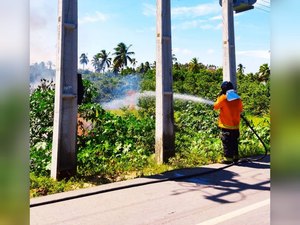 Bombeiros apagam incêndio em Maragogi