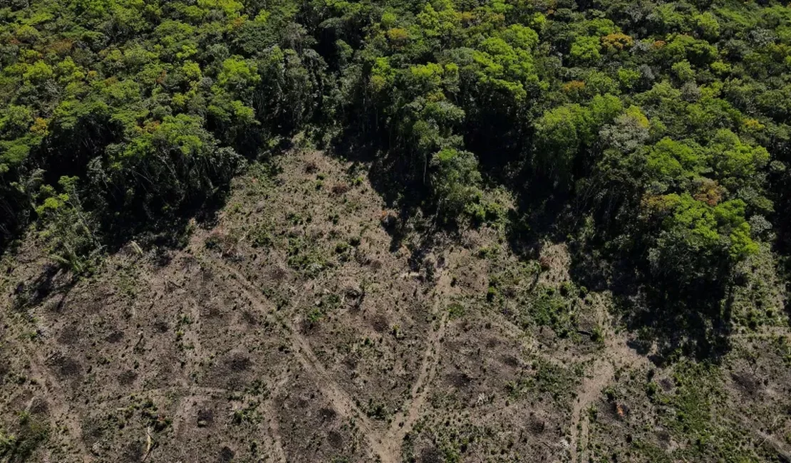 Biden vai anunciar US$ 500 milhões para Fundo Amazônia, diz Casa Branca