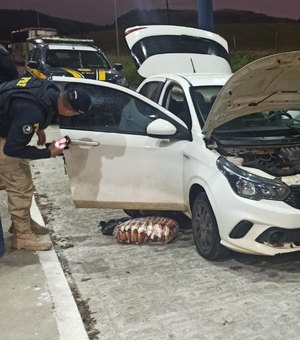 PRF recupera carro roubado há 7 meses na BR - 104 em União dos Palmares