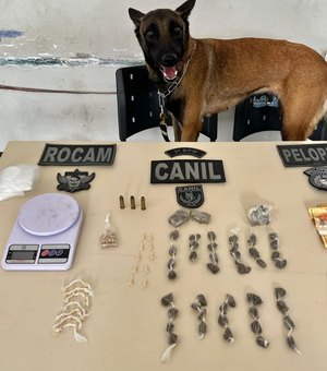 Com auxílio de cão farejador, PM prende homem em ponto de drogas em Arapiraca