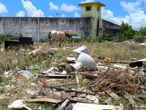 MPAL encontra lixo, animais soltos e risco sanitário em terreno do Tabuleiro dos Martins