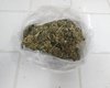 Homem com mandado de prisão é preso com de 8 kg de maconha em Marechal Deodoro