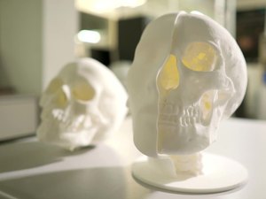 Pesquisadores recriam parte do acervo do Museu Nacional, incluindo o crânio de Luzia
