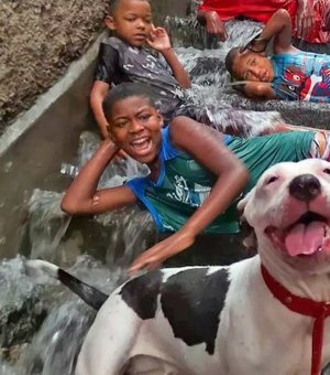Foto de crianças e pit-bull sorrindo em banho de chuva no Rio viraliza