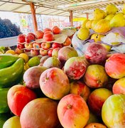 Alimentação saudável no Carnaval ajuda a prevenir problemas de saúde, alerta nutricionista