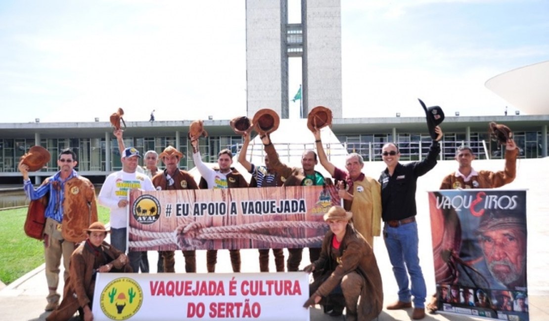 Em meio a protestos, Senado analisa propostas que regulamentam vaquejada no Brasil