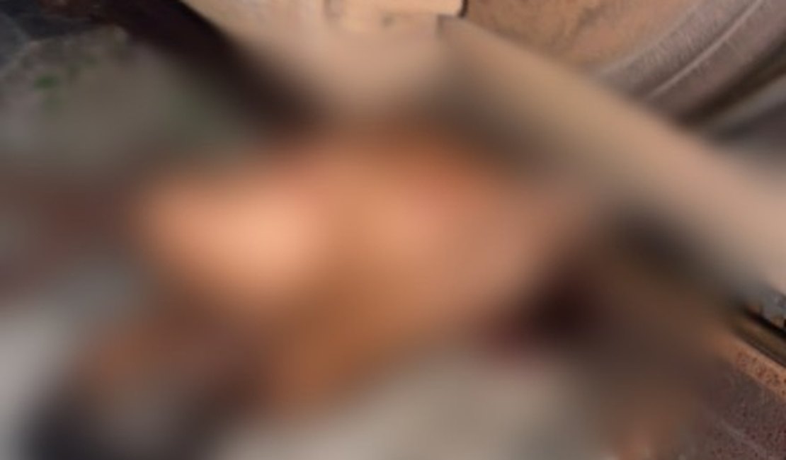 Homem morre após ser atingido por trem em Rio Largo; circunstâncias ainda são investigadas