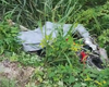 Motociclista morre após colidir com animal solto em trecho da rodovia AL-430