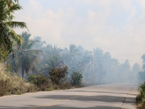 Incêndios constantes deixam população em alerta no Litoral Norte