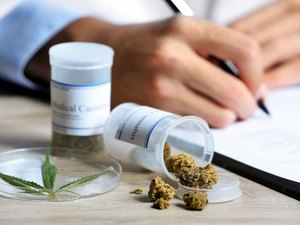Entenda como será a venda de remédios à base de maconha