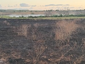 [Vídeo] Incêndio que deixou Arapiraca coberta por fumaça teve início na zona rural de Lagoa da Canoa