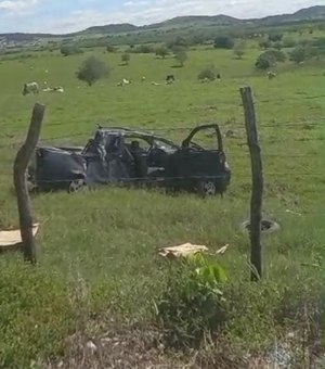 Motorista colide com poste ao desviar de cachorro na AL-110 em Arapiraca