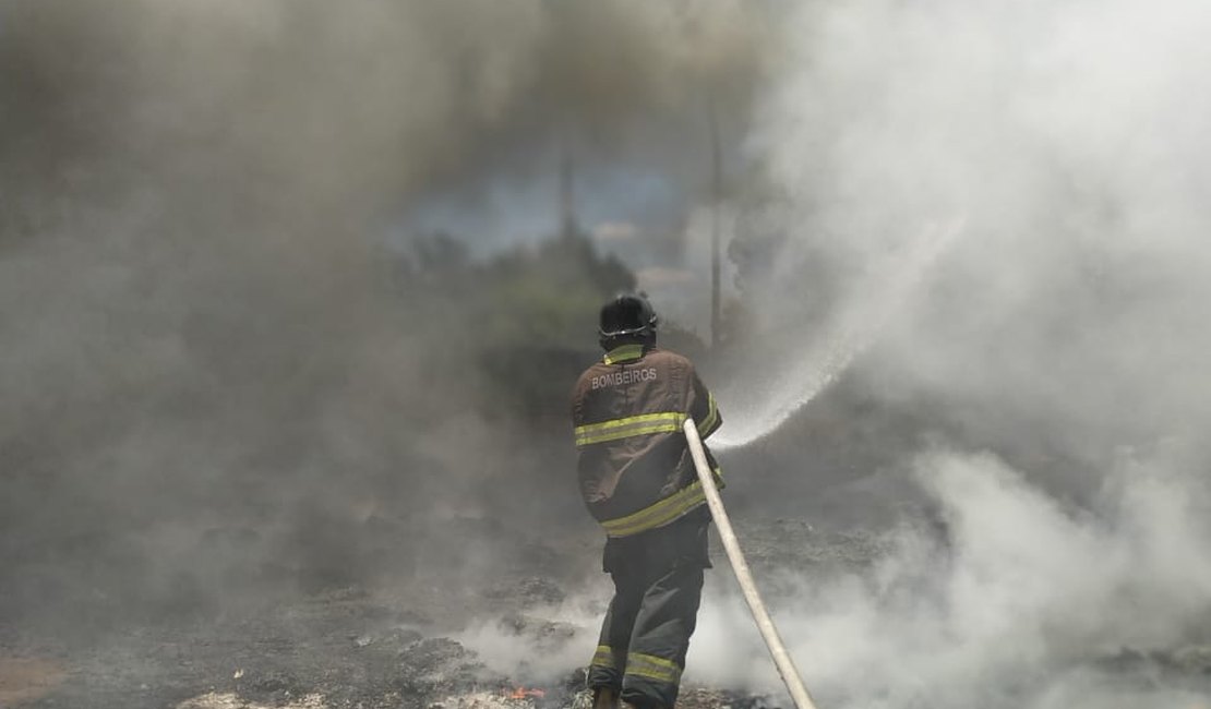 Incêndio atinge depósito localizado as margens da AL 220 em Arapiraca