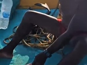 [Vídeo] Pescador acha garrafa pet dentro de peixe em Maragogi