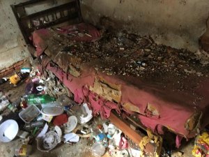Mulher é retirada de casa com mais de 100 ratos e três toneladas de lixo