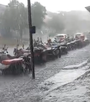 Temporal em Arapiraca: volume de chuva em 3 horas supera 20 dias de janeiro de 2024