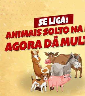 Prefeitura anuncia apreensão de animais soltos nas ruas e multas aos donos em São Luís do Quitunde