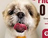 Procura-se dono de cachorro encontrado no bairro Esmeralda, em Arapiraca