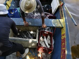Pescadores beneficiados pelo Seguro-Defeso recebem 6º lote nesta terça