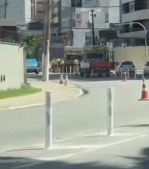 Avenida João Davino passa por mudanças para reduzir conversões irregulares