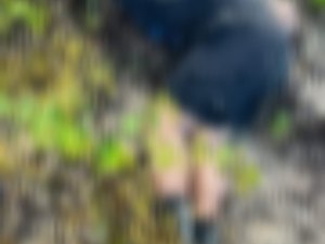Homem é achado morto e amarrado na Praia do Pontal do Boqueirão, em Japaratinga