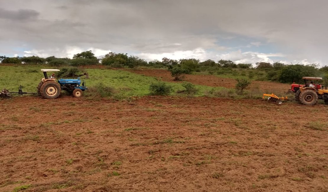 [Vídeo]  Prefeitura de Igaci  garante aração de terra gratuita para pequenos agricultores