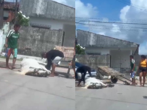 Moradores denunciam maus-tratos a cavalo e acúmulo de lixo no Benedito Bentes
