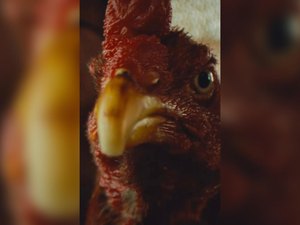 ‘Vídeo da galinha’; o sucesso da peça publicitária do governo Paulo Dantas que viralizou