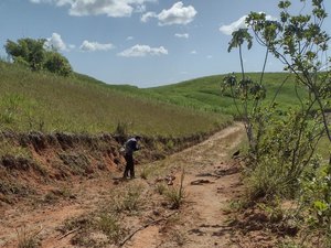 Corpo em avançado estado de decomposição é achado em Porto Calvo