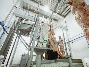 Trabalhadores de matadouro em Campo Alegre denunciam dois meses de salários atrasados