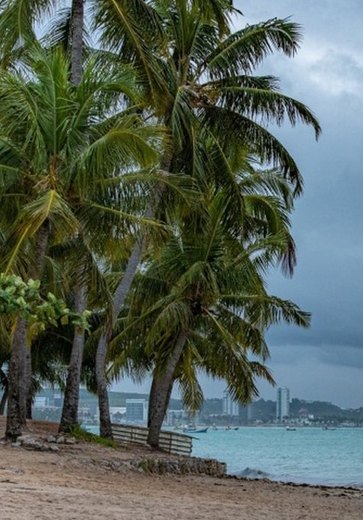 Inmet coloca toda Alagoas em alerta para vendavais com rajadas de até 60 km/h