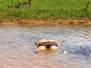 Cadáver localizado em Porto Real do Colégio é identificado em Arapiraca 