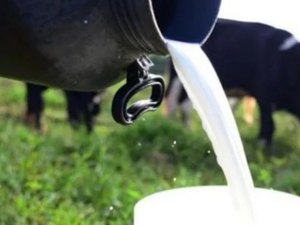 Cartão de Serviço de Inspeção Municipal  fortalece produtores rurais de Arapiraca