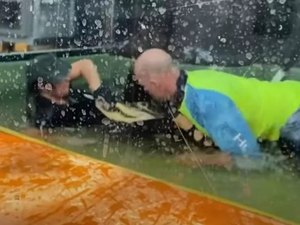 Vídeo:Homem pula em cima de jacaré para salvar treinadora atacada