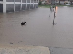 Água acumulada das chuvas inundam ruas e cemitério no Agreste