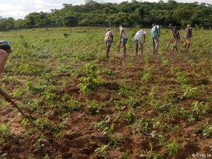 Adesão ao Seguro Garantia-Safra termina em fevereiro
