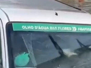 [Vídeo] Após colisão com carro, van vai parar em açude na AL-220