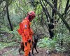 Bombeiros iniciam buscas por pessoa desaparecida no Conjunto José Tenório