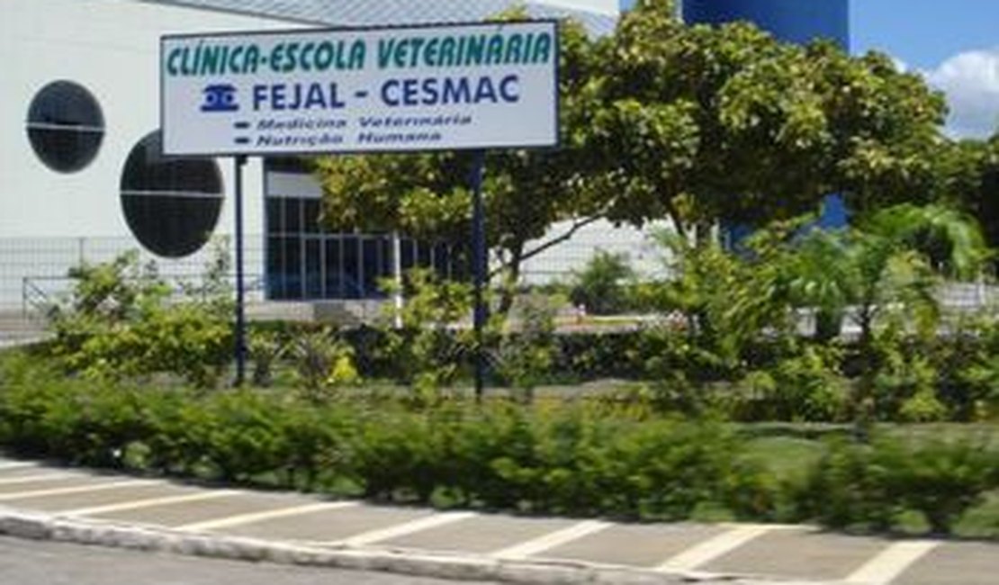 Incêndio atinge laboratório da escola veterinária do Cesmac, na AL-101 Sul