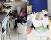 Família pede ajuda para retirar idosos de casa com lixo e animais em Arapiraca